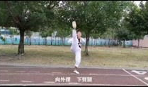太极一章教学视频,入门基础动作解析与技巧讲解